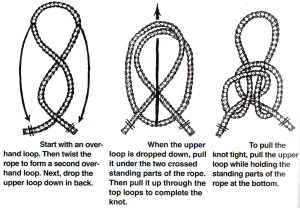 Start with an overhand loop, then twist the rope to form a second overhand loop. Next drop the upper loop down in back. When the upper loop is dropped down, pull it under the two crossed standing parts of  the rope. Then pull it up through the top loops to complete the Butterfly Knot. To pull the knot tight, pull the upper part while holding the two standing parts of the rope at the bottom.
