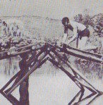 Photo from '67 Field Book