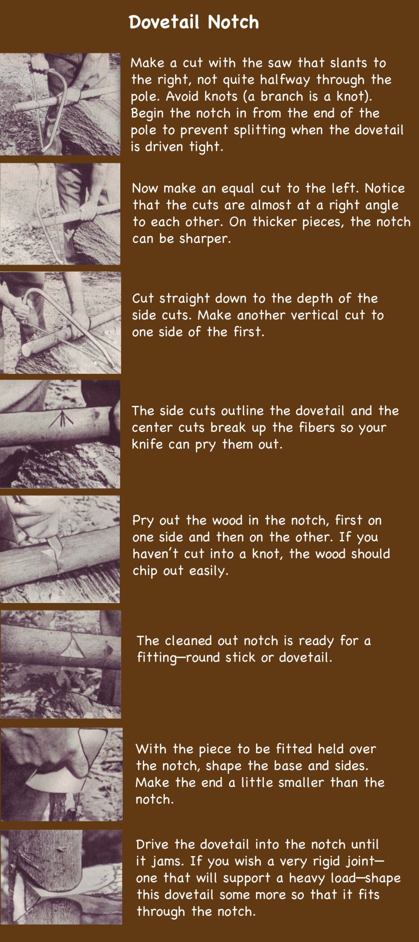 With your saw, make a cut that slants to your right, not quite halfway through your pole. Avoid knots (a branch is a knot). Begin the notch in from the pole to prevent splitting when the dovetail is driven in tight.   Now make an equal cut to the left. Notice that the cuts are almost at a right angle to each other. On thicker pieces, the notch angle can be sharper.   Cut straight down to the depth of the side cuts and make another vertical cut to one side of the first.  The side cuts outline the dovetail and the center cuts break up the fibers so your knife can pry them out.  Pry out the wood in the notch, first on one side and then on the other. If you haven’t cut into a knot, the wood should chip out easily.  The cleaned out notch is ready for a fitting—round stick or dovetail.  With the pieces to be fitted held over the notch, shape the base and sides. Make the end a little smaller than the notch.  Drive the dovetail into the notch until it jams. If you wish a very rigid joint—one that will support a heavy load—shape the dovetail some more so that it fits through the notch.  