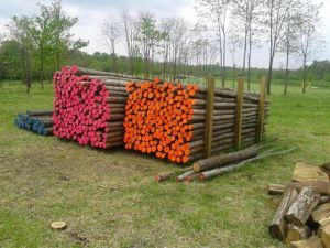 Spars were waiting to be skinned and utilized up on Garden Ground in readiness for the arrival of the Jambo Pioneering Staff.