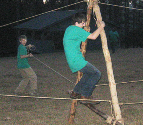 Alligator Stage Left