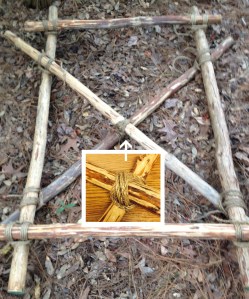 Link to: Larger Image