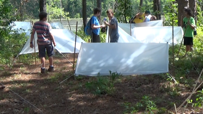 A Plastic Sheet Shelter Campsite