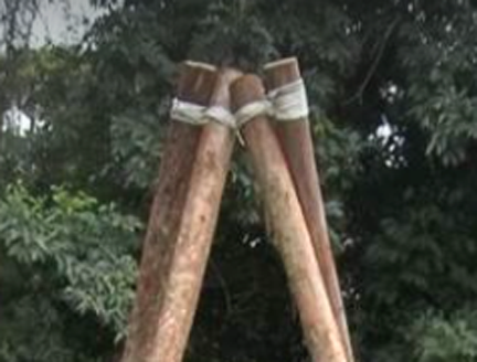 Link to: Larger Image