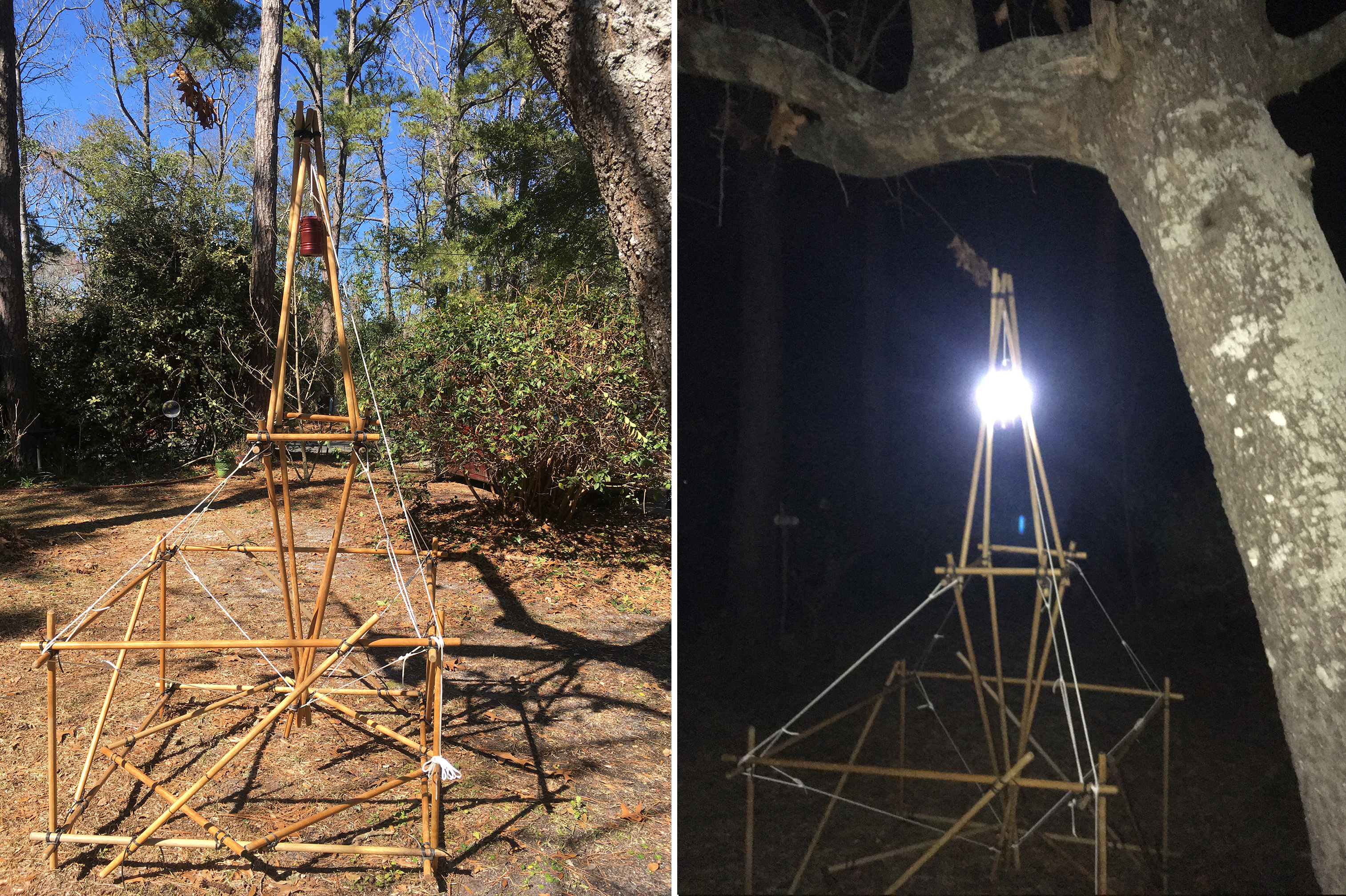 Link to: Larger View